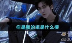 你是我的姐是什么梗
