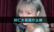 祁仁太甚是什么梗