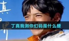 丁真我测你们码是什么梗