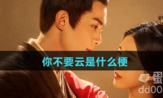 你不要云是什么梗