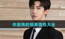 你是我的姐表情包大全