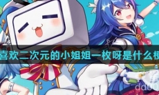 喜欢二次元的小姐姐一枚呀是什么梗