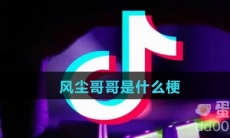 风尘哥哥是什么梗