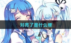 对胃了是什么梗