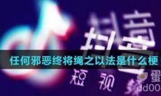 任何邪恶终将绳之以法是什么梗