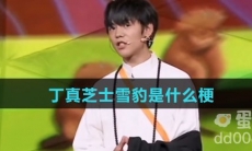 丁真芝士雪豹是什么梗