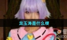 龙玉涛是什么梗