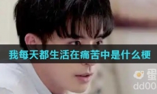 我每天都生活在痛苦中是什么梗