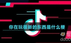 你在玩很新的东西是什么梗