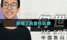 赛博丁真是什么梗