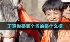 丁真你是哪个省的是什么梗