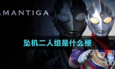 坠机二人组是什么梗