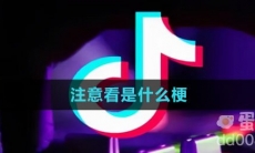 注意看是什么梗