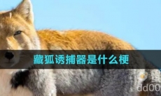 藏狐诱捕器是什么梗