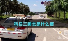 科目三睡觉是什么梗