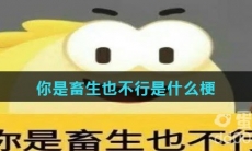 你是畜生也不行是什么梗