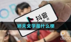 娇夫文学是什么梗