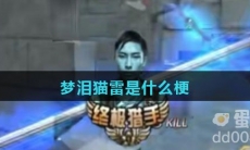 梦泪猫雷是什么梗