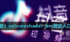 《抖音》volumeshader_bm测试入口分享