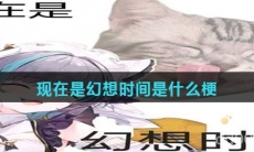 现在是幻想时间是什么梗