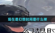 现在是幻想时间表情包大全