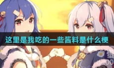 这里是我吃的一些酱料是什么梗