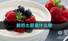 酸奶土匪是什么梗