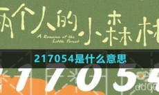 217054是什么意思