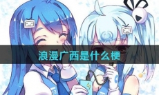 浪漫广西是什么梗