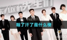翰了汗了是什么梗