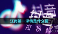 江南第一深情是什么梗
