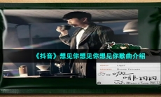 《抖音》想见你想见你想见你歌曲介绍