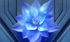 《王者荣耀》夺宝更新活动介绍