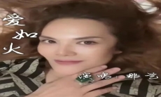 《抖音》愛如火歌曲介绍