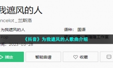 《抖音》开往早晨的午夜歌曲介绍