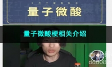 《抖音》量子微酸梗相关介绍