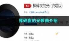 《抖音》揉碎夜的光歌曲介绍