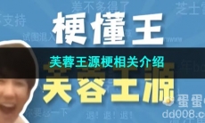 《抖音》芙蓉王源梗相关介绍