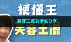 《抖音》芙蓉王源表情包分享
