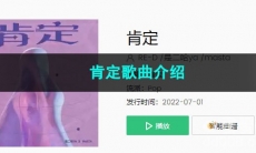 《抖音》肯定歌曲介绍