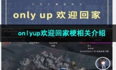 《抖音》onlyup欢迎回家梗相关介绍