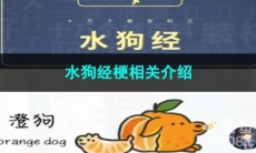 《抖音》水狗经梗相关介绍