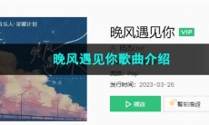 《抖音》晚风遇见你歌曲介绍