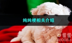 《抖音》纯纯梗相关介绍