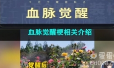 《抖音》血脉觉醒梗相关介绍