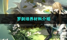 崩坏星穹铁道罗刹培养材料介绍