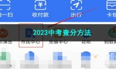 《支付宝》2023中考查分方法