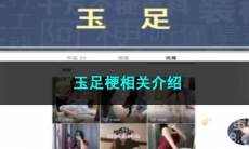 《抖音》玉足梗相关介绍