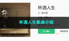 《抖音》杯酒人生歌曲介绍