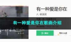 《抖音》有一种爱是你在歌曲介绍